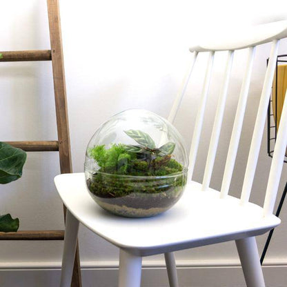 Flaschengarten - DIY - Kuppel - ↕ 20 cm