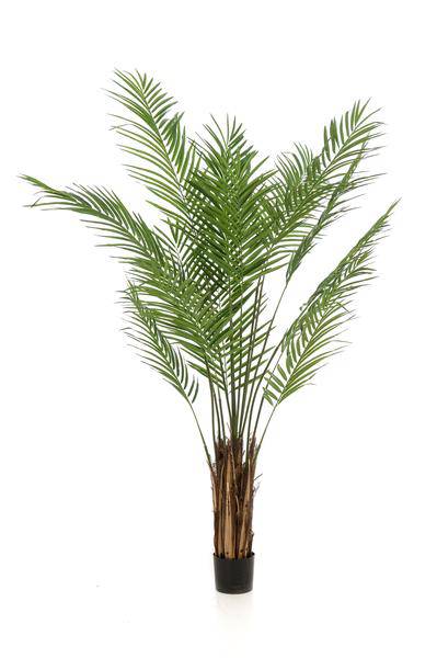Kunstpflanze - Areca Lutescens - Goldpalme - 180 cm 