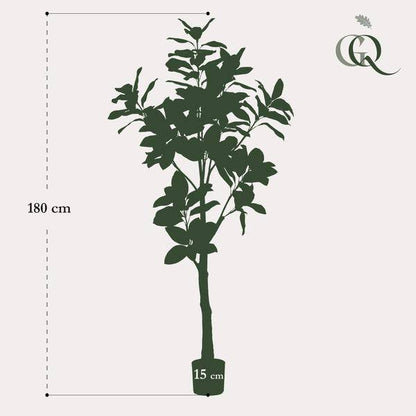 Kunstpflanze - Magnolia Grandiflora - 180 cm