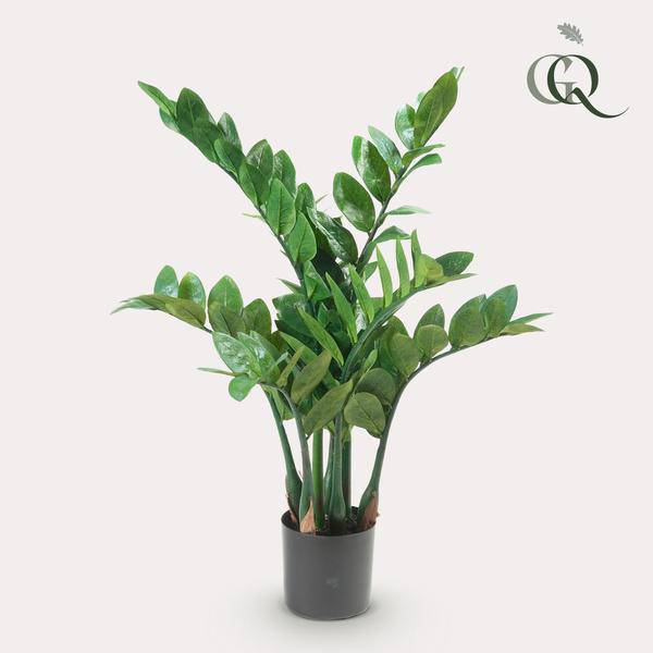 Kunstpflanze - Zamioculcas - Zimmerpalme - 70 cm