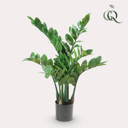 Kunstpflanze - Zamioculcas - Zimmerpalme - 70 cm