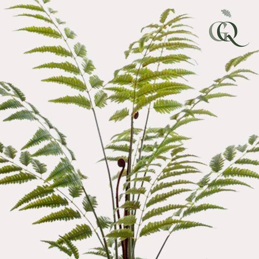 Kunstpflanze - Rumohra Adiantiformis - Lederfarn - 150 cm