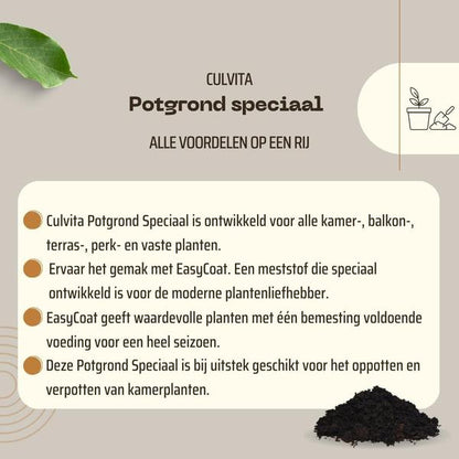 Blumenerde Spezial mit 6 Monaten Nährstoffversorgung 40 Liter - Premium-Erde für Zimmer- & Freilandpflanzen - inklusive EasyCoat Pflanzennahrung