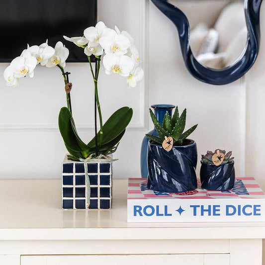 Candy Dekotopf - Blau - Ø9cm 