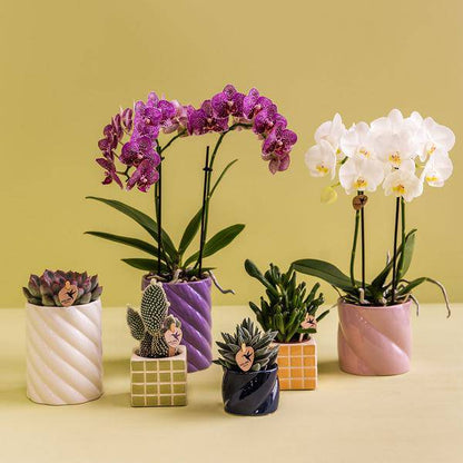 Candy Dekotopf - Blau - Ø6cm 