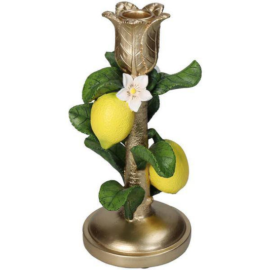 Kerzenständer mit Zitronenpflanze - ↑ 22 cm - Oasis of Life