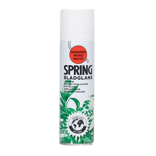 Blattglanz - 750ml
