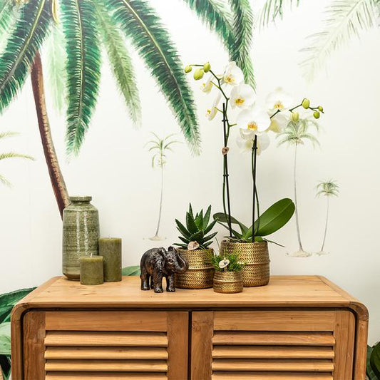 Groove Blumentopf Gold – Keramik-Topf mit mattem Finish – Ø12cm – Robustes, strukturiertes Design – Eleganter Pflanztopf fürs Wohnzimmer 