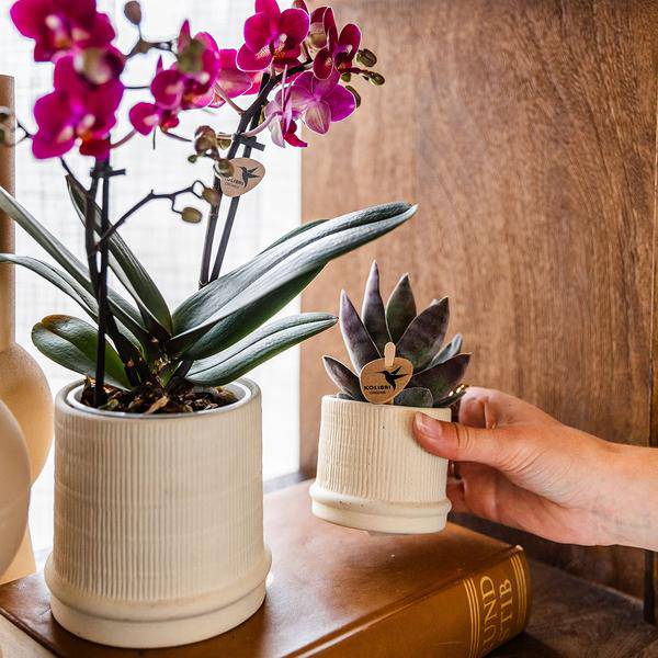 Bali Blumentopf Off White Ø9cm – Dekorativer Keramiktopf mit Rillenstruktur – Moderner Pflanzentopf im minimalistischen Design – Stilvolle Blumendeko für Wohnzimmer, Küche & Büro 