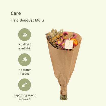Trockenblumen - Blumenstrauß - Field Bouquet Multi - Trockener Blumenstrauß - 50cm - Ø20cm - 12 Stück