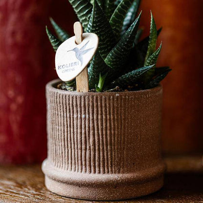 Bali Dekotopf - Braun - Ø6cm 