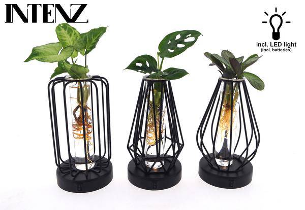 Mix in Turin Glas + Led - 3 Stücke - Ø7cm - ↕20cm - Oasis of Life