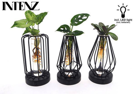 Mix in Turin Glas + Led - 3 Stücke - Ø7cm - ↕20cm - Oasis of Life