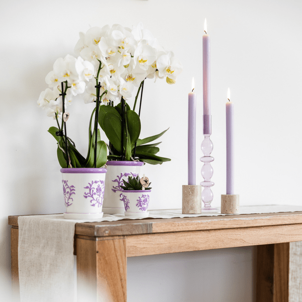 Malaga Topf - Flieder - Ø6cm 