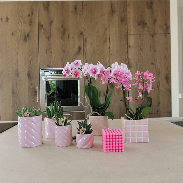 Mosa Ziertopf - Rosa - Ø9cm 
