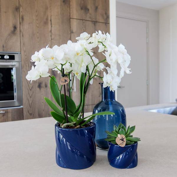 Candy Dekotopf - Blau - Ø6cm 