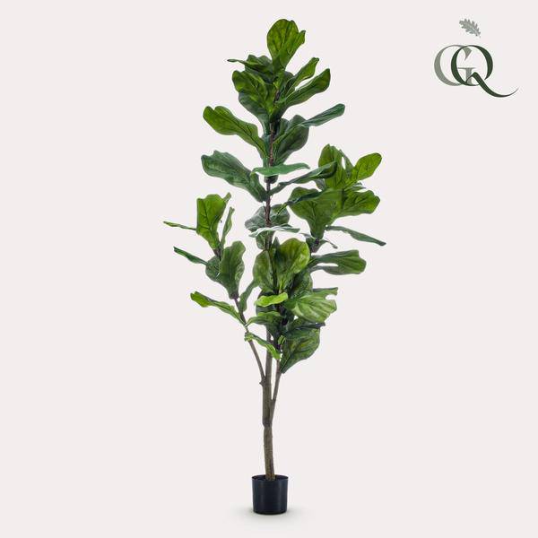 Kunstpflanze - Ficus Lyrata - Tabakpflanze - 150cm - Oasis of Life