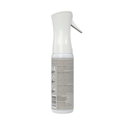 Pokon Powerspray Orchidee – Blattglanz-Spray – 300ml – Für gesunde, glänzende Orchideenblätter – Einfach anzuwenden – Für mehr Vitalität & Schutz 