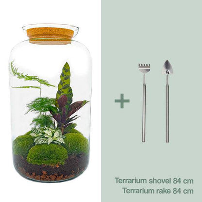 Flaschengarten - DIY - Botanischer Sven XL - ↕43cm