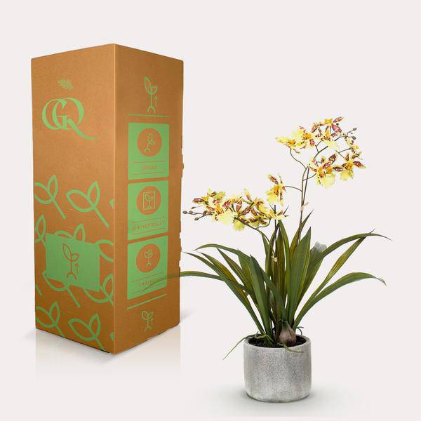 Kunstpflanze - Orchidee - Gelb - ↨45cm