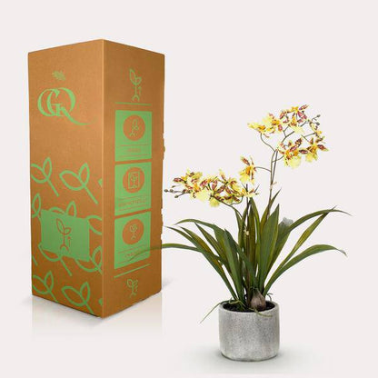 Kunstpflanze - Orchidee - Gelb - ↨45cm