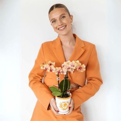 Malaga Blumentopf Orange Ø9cm – Dekorativer Keramiktopf in sommerlichem Design – Pflanzentopf für Zimmerpflanzen & Kräuter – Stilvolle Blumendeko für Wohnzimmer, Küche & Büro 