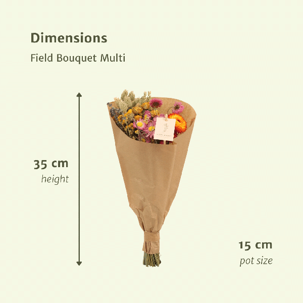 Trockenblumen Feldblumenstrauß Multi - Ø15cm - ↕35cm - Oasis of Life