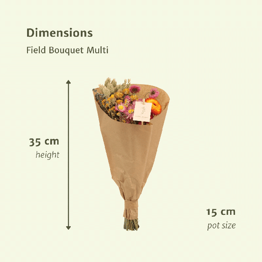 Trockenblumen Feldblumenstrauß Multi - Ø15cm - ↕35cm - Oasis of Life