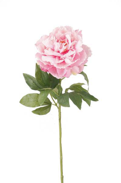 Künstliche Blumen - Blumenstrauß - Solo - Hellrosa - Pfingstrosen - 65cm - 5 Stück