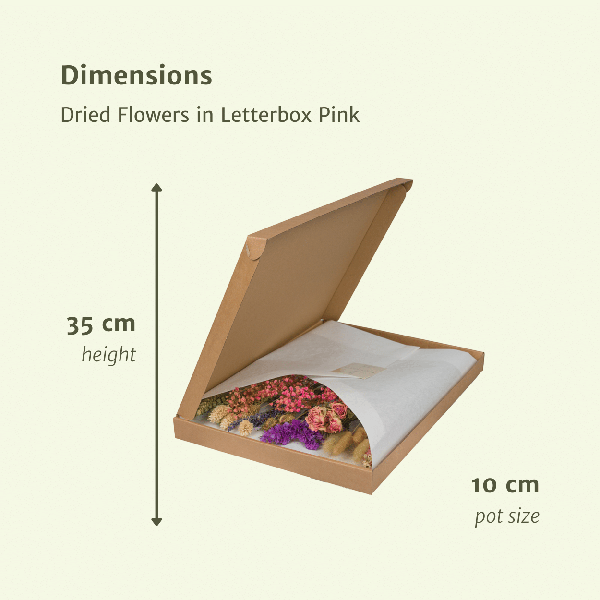 Trockenblumen im Briefkasten - Rosa - Blumenstrauß
