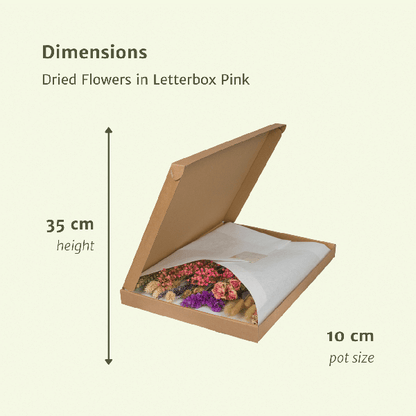Trockenblumen im Briefkasten - Rosa - Blumenstrauß