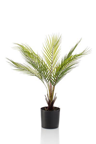 Kunstpflanze - Chamaedorea Elegans - Bergpalme - 50 cm 