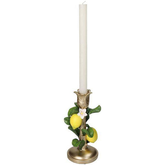 Kerzenständer mit Zitronenpflanze - ↑ 22 cm - Oasis of Life