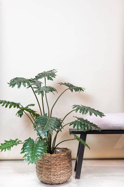Kunstpflanze Philodendron – 80 cm – Realistische Zimmerpflanze – Pflegefrei – Flexibel formbar – Für Wohnzimmer, Büro & Hängeampel – Tropischer Look 