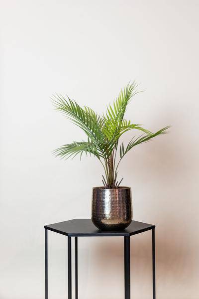 Kunstpflanze - Chamaedorea Elegans - Bergpalme - 50 cm