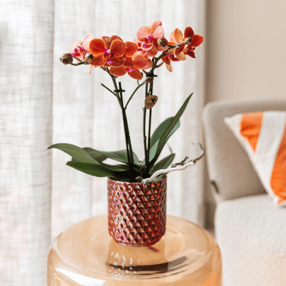 Diamant Perle Dekotopf - Rot - Ø6cm 