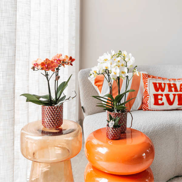 Diamant Perle Dekotopf - Rot - Ø9cm 