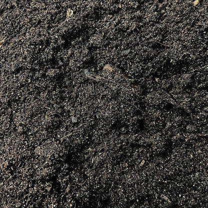 Kakteenerde 5 Liter - Blumenerde für Kakteen und Sukkelenten