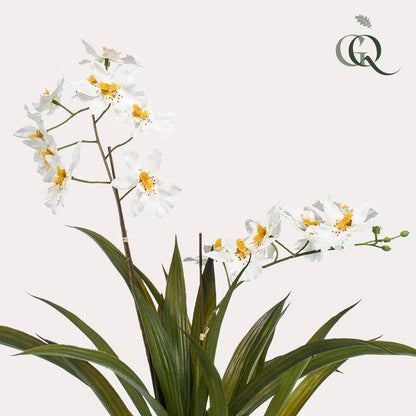 Künstliche Pflanze - Orchidee - Weiß - ↨45cm