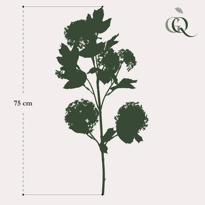 Künstliche Blumen - Solo - Creme - Viburnum Opulus Zweige - 75cm - 4 Stück