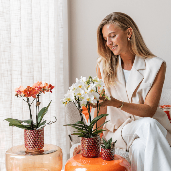 Diamant Perle Dekotopf - Rot - Ø6cm 