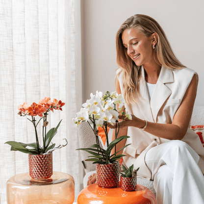 Diamant Perle Dekotopf - Rot - Ø6cm 