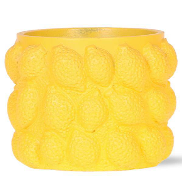 Zitrus Topf gelb - Ø12cm