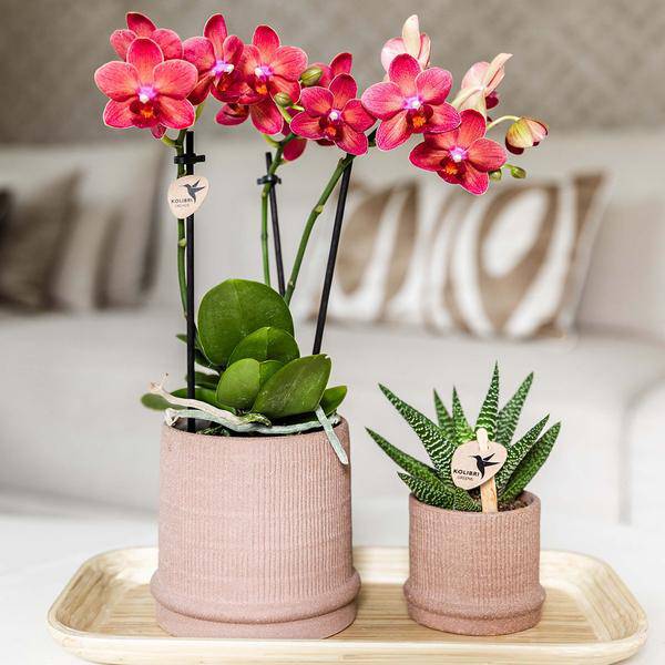 Bali Dekotopf - Sand - Ø9cm 