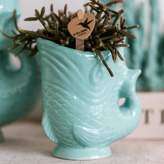 Fisch Topf - Türkis - Ø6cm 