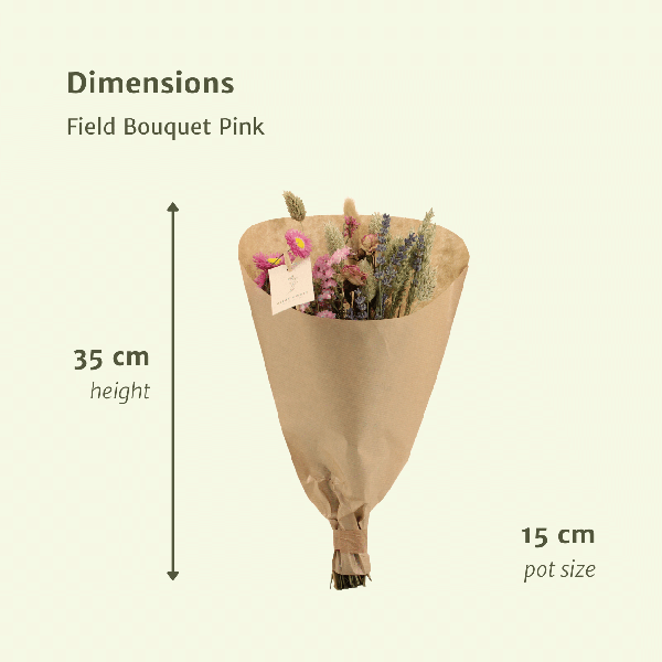 Trockenblumen - Feldblumenstrauß - Rosa - Ø15cm - ↕35cm