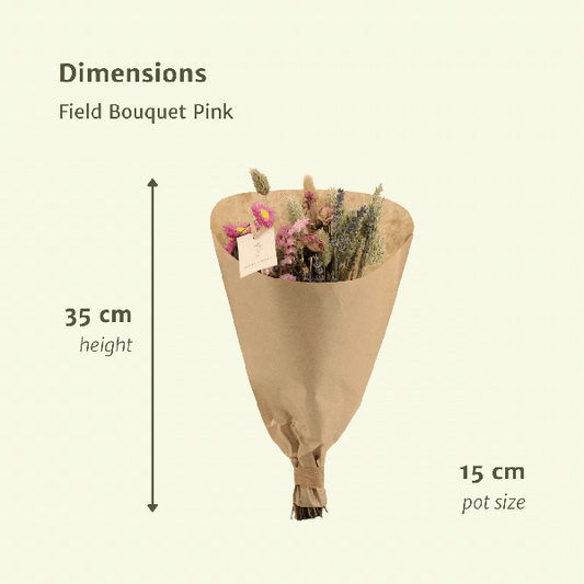 Trockenblumen Feldblumenstrauß Rosa – Blumenstrauß – Ø15cm x ↕35cm – Sanfte Rosatöne – Romantische Dekoration für Innenräume – Pflegefrei