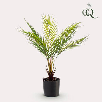 Kunstpflanze - Chamaedorea Elegans - Bergpalme - 50 cm