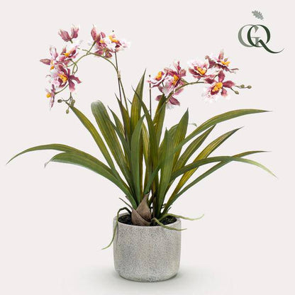 Künstliche Pflanze - Orchidee - Bordeaux - ↨45cm