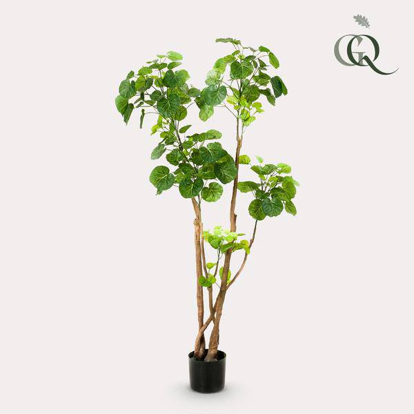 Kunstpflanze - Polyscias - Aralia - 135 cm
